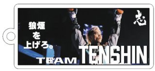 新品☆那須川天心☆TEAM TENSHIN マグカップ 那須川 天心】 TEAM TENSHIN【志】マグカップ ペア