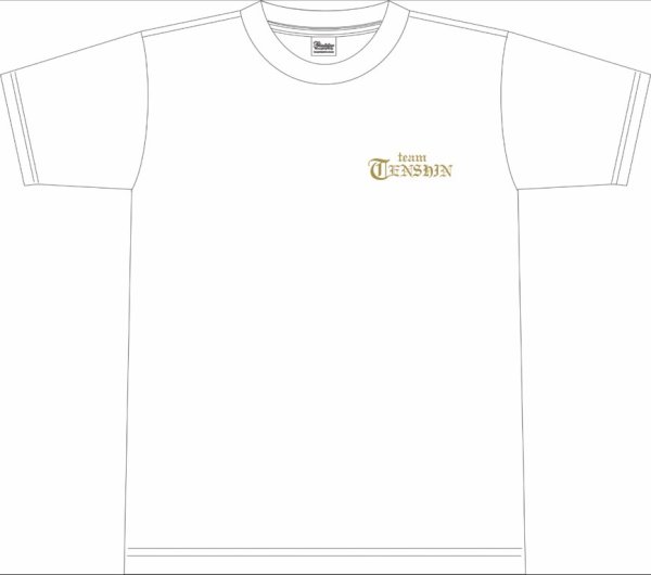 画像3: 天心ロゴデザイン！【Team TENSHIN】×【TEPPENGYM】　ドライメッシュTEE (3)